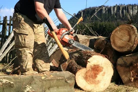 Tree+Removal+Permits+Do+You+Need+One-+glasgow-1920w