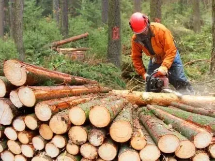 commercial-tree-services-land-clearance-ground-clearance-glasgow-lanarkshire-dalserf-south-lanarkshire-clyde-valley-scotland_orig-1920w-513w