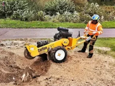 stump-removal-stump-grinder-stump-grinding-stump-removal-near-me-stump-grinding-near-me-glasgow_1-1920w-513w