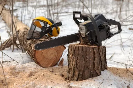 tree-removal-tree-cutting-pollarding-tree-services-land-clearance-glasgow-dalserf-clyde-valley-south-lanarkshire_orig-2880w